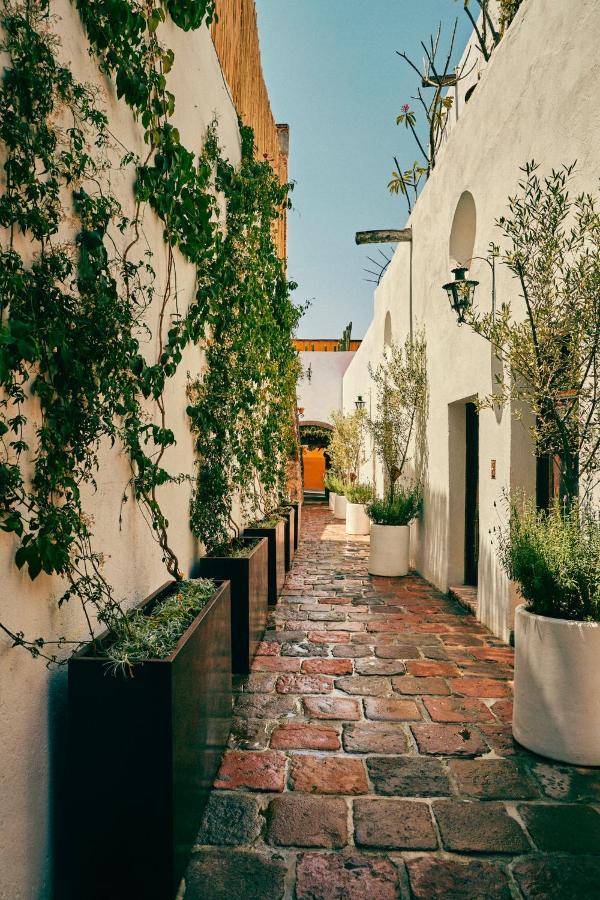 Hotel Meson Hidalgo à San Miguel de Allende Extérieur photo
